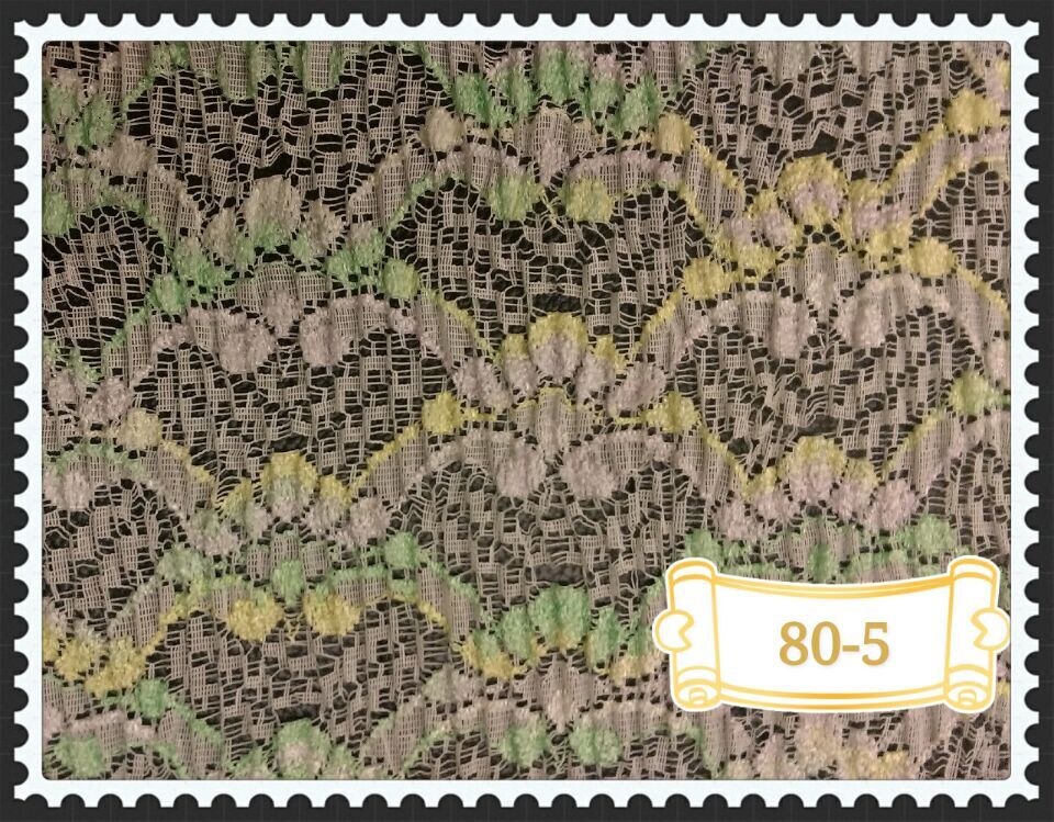 lace fabric-YC80-5