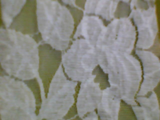 lace fabric-A39