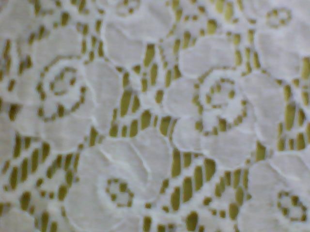 lace fabric-A40