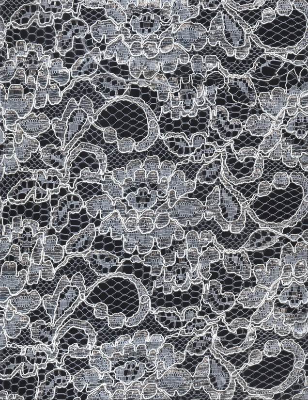 lace fabric-B004